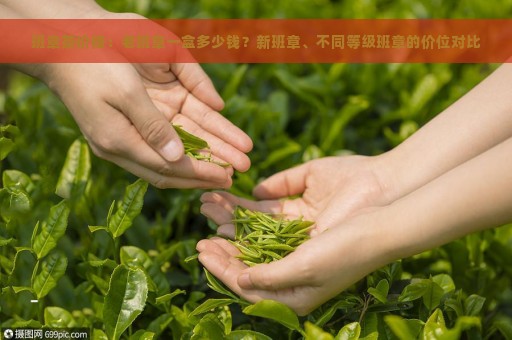 班章茶价格：老班章一盒多少钱？新班章、不同等级班章的价位对比