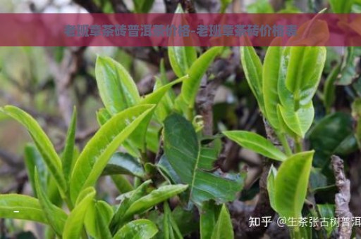 老班章茶砖普洱茶价格-老班章茶砖价格表