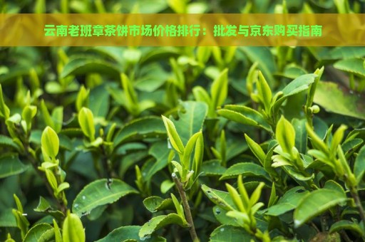 云南老班章茶饼市场价格排行：批发与京东购买指南