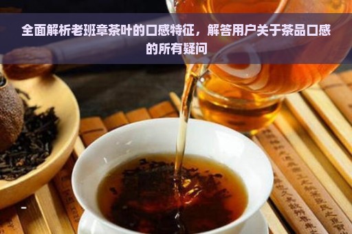 全面解析老班章茶叶的口感特征，解答用户关于茶品口感的所有疑问