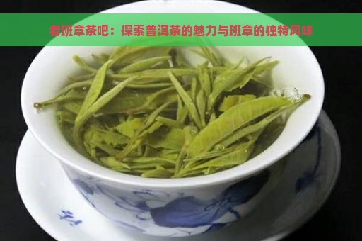 老班章茶吧：探索普洱茶的魅力与班章的独特风味