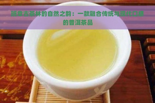 班章古茶林的自然之韵：一款融合传统与现代口感的普洱茶品