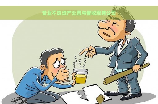 专业不良资产处置与催收服务公司