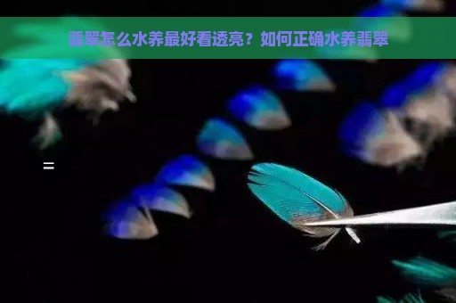 翡翠怎么水养最好看透亮？如何正确水养翡翠