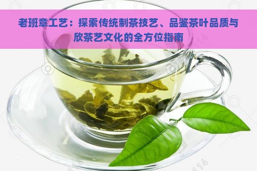 老班章工艺：探索传统制茶技艺、品鉴茶叶品质与欣茶艺文化的全方位指南