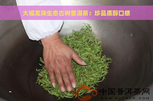 大福龙珠生态古树普洱茶：珍品质醇口感