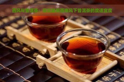 西风与普洱茶：探究最弱西南风下普洱茶的度适宜度