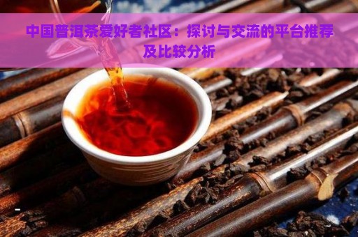 中国普洱茶爱好者社区：探讨与交流的平台推荐及比较分析