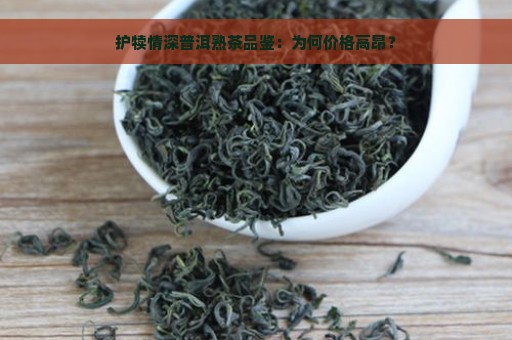 护犊情深普洱熟茶品鉴：为何价格高昂？