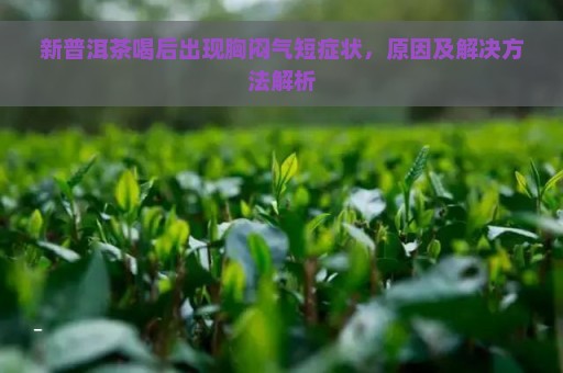 新普洱茶喝后出现胸闷气短症状，原因及解决方法解析