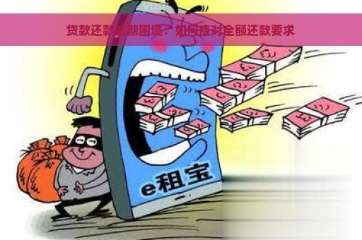 贷款还款逾期困境：如何应对全额还款要求