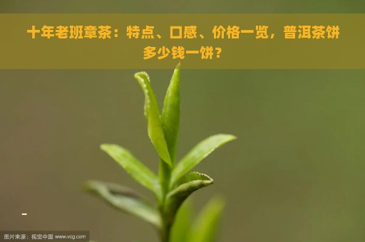 十年老班章茶：特点、口感、价格一览，普洱茶饼多少钱一饼？