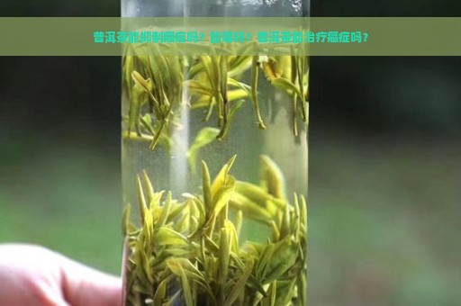 普洱茶能抑制癌症吗？能喝吗？普洱茶能治疗癌症吗？