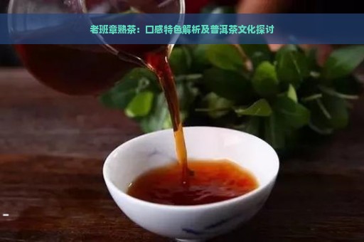 老班章熟茶：口感特色解析及普洱茶文化探讨