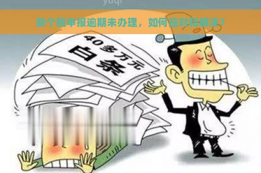 新个税申报逾期未办理，如何应对和解决？