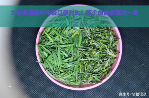 大益普洱茶与中茶口感对比：哪个的味道更胜一筹？