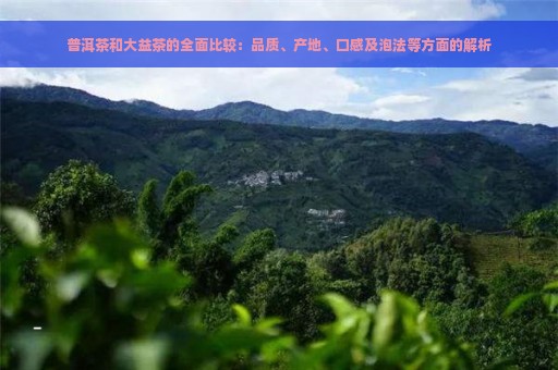 普洱茶和大益茶的全面比较：品质、产地、口感及泡法等方面的解析