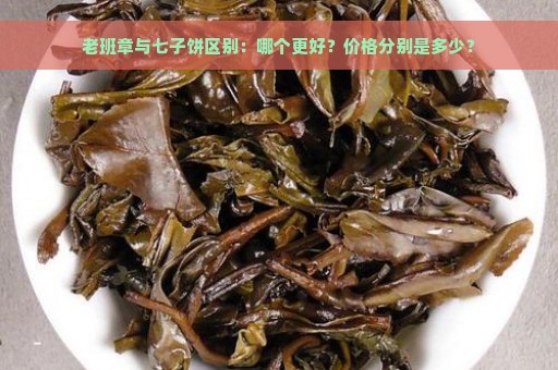 老班章与七子饼区别：哪个更好？价格分别是多少？