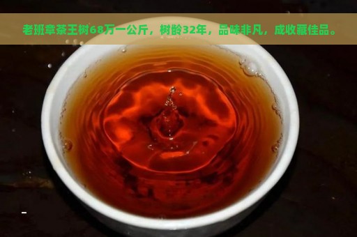 老班章茶王树68万一公斤，树龄32年，品味非凡，成收藏佳品。