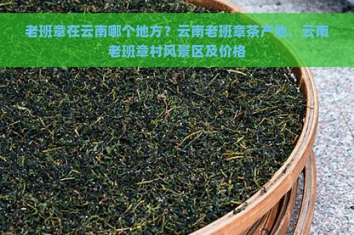 老班章在云南哪个地方？云南老班章茶产地，云南老班章村风景区及价格