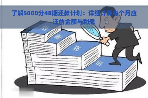 了解5000分48期还款计划：详细计算每个月应还的金额与利息