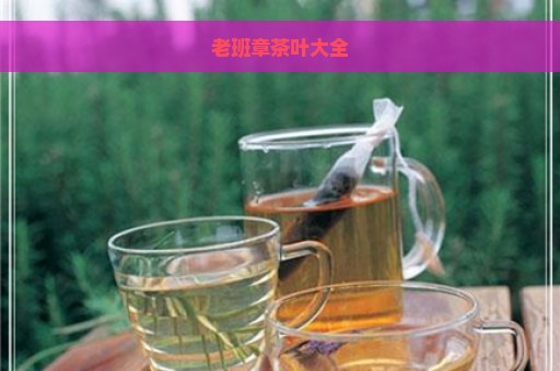 老班章茶叶大全