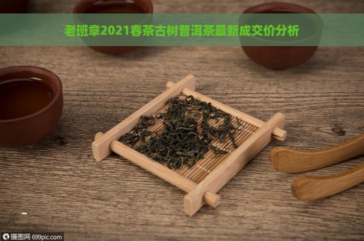 老班章2021春茶古树普洱茶最新成交价分析