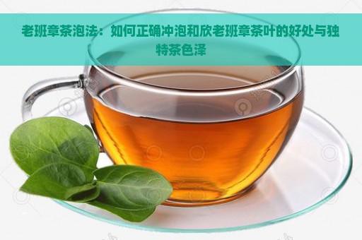 老班章茶泡法：如何正确冲泡和欣老班章茶叶的好处与独特茶色泽