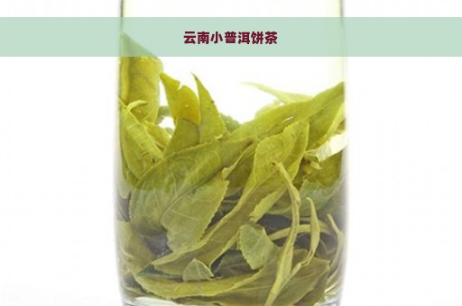 云南小普洱饼茶