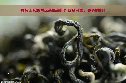 抖音上茗策普洱茶能买吗？安全可靠，是真的吗？