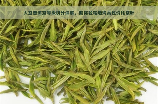 大益普洱茶等级划分详解，助你轻松选购高性价比茶叶