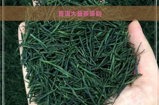 普洱大益茶级别