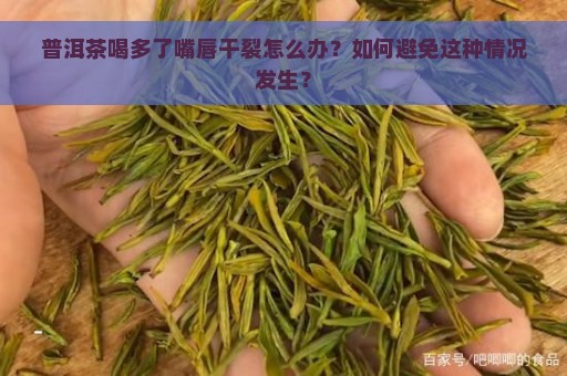 普洱茶喝多了嘴唇干裂怎么办？如何避免这种情况发生？