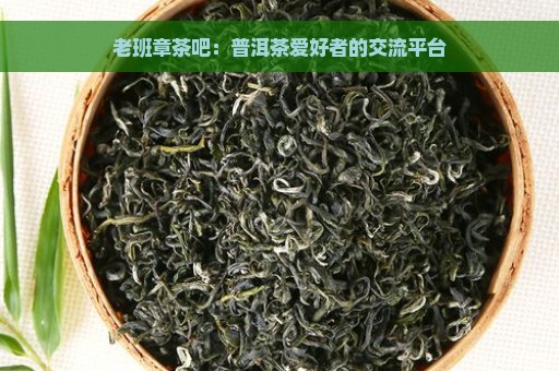 老班章茶吧：普洱茶爱好者的交流平台