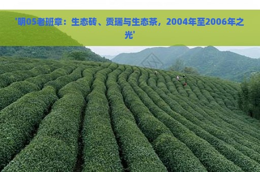 '明05老班章：生态砖、贡瑞与生态茶，2004年至2006年之光'