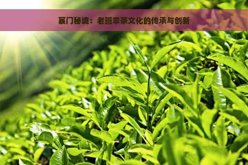 寨门秘境：老班章茶文化的传承与创新