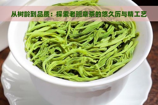 从树龄到品质：探索老班章茶的悠久历与精工艺