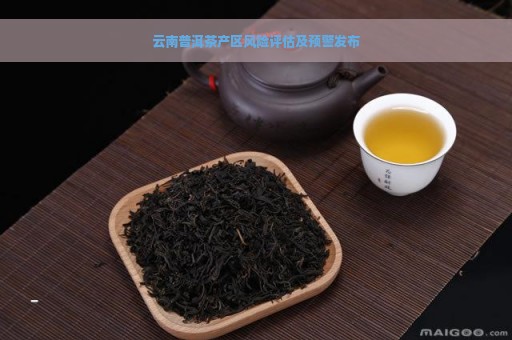 云南普洱茶产区风险评估及预警发布