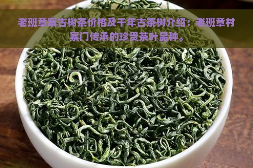 老班章寨古树茶价格及千年古茶树介绍：老班章村寨门传承的珍贵茶叶品种。