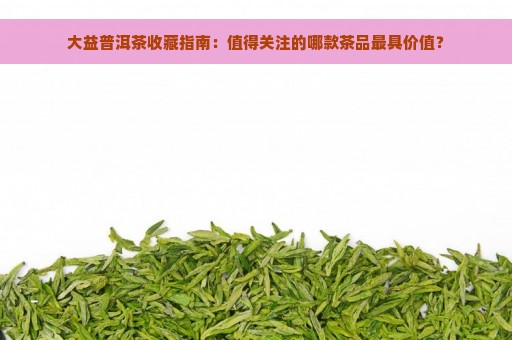 大益普洱茶收藏指南：值得关注的哪款茶品最具价值？