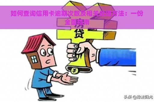 如何查询信用卡逾期次数及相关处理方法：一份全面指南