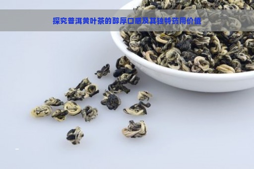 探究普洱黄叶茶的醇厚口感及其独特药用价值