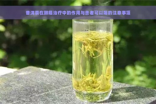 普洱茶在肺癌治疗中的作用与患者可以喝的注意事项