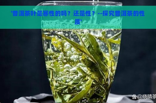 '普洱茶叶是寒性的吗？还是性？--探究普洱茶的性质'