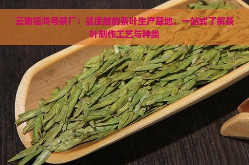 云南福鸿号茶厂：品质越的茶叶生产基地，一站式了解茶叶制作工艺与种类