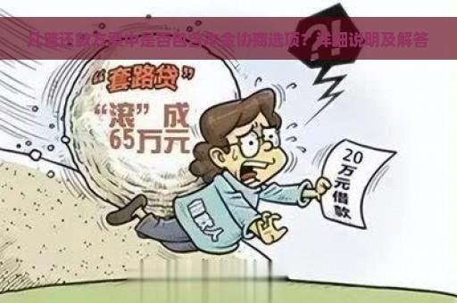 凡普还款方案中是否包含本金协商选项？详细说明及解答