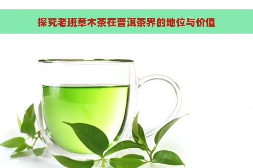 探究老班章木茶在普洱茶界的地位与价值