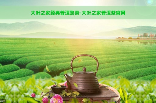 大叶之家经典普洱熟茶-大叶之家普洱茶官网