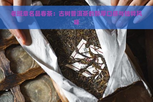 老班章名品春茶：古树普洱茶的醇厚口感与独特风味