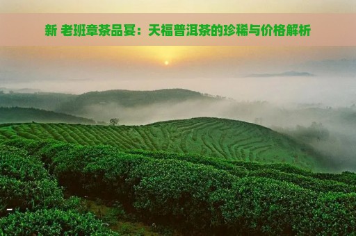 新 老班章茶品宴：天福普洱茶的珍稀与价格解析